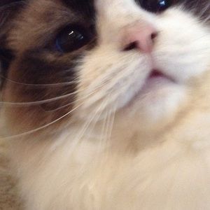 Meet your Posher, Aileen